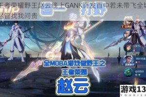 王者荣耀野王赵云线上GANK百发百中若未带飞全场尽管找我问责