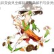 料理次元异变食灵全解异变现象解析与食灵角色设定深度揭秘