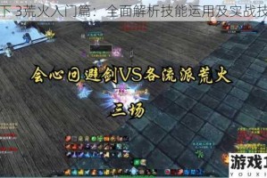 天下 3荒火入门篇：全面解析技能运用及实战技巧
