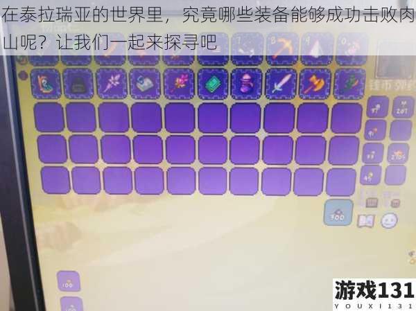 在泰拉瑞亚的世界里,究竟哪些装备能够成功击败肉山呢?让我们一起来探寻吧