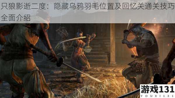 只狼影逝二度:隐藏乌鸦羽毛位置及回忆关通关技巧全面介绍