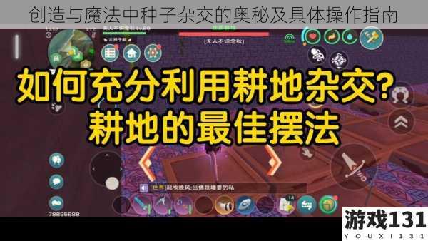 创造与魔法中种子杂交的奥秘及具体操作指南