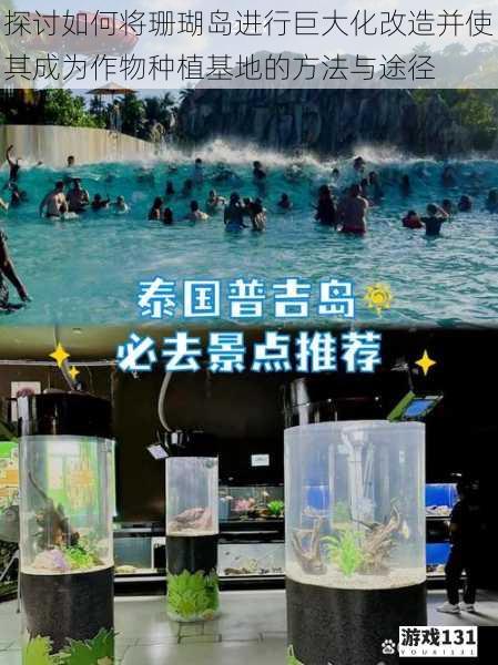 探讨如何将珊瑚岛进行巨大化改造并使其成为作物种植基地的方法与途径