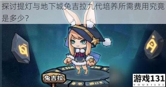 探讨提灯与地下城兔吉拉九代培养所需费用究竟是多少?