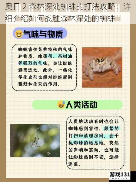 奥日 2 森林深处蜘蛛的打法攻略:详细介绍如何战胜森林深处的蜘蛛