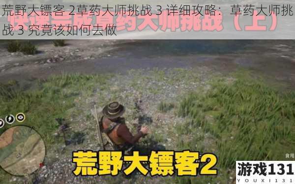 荒野大镖客 2草药大师挑战 3 详细攻略:草药大师挑战 3 究竟该如何去做