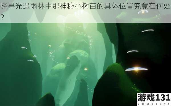 探寻光遇雨林中那神秘小树苗的具体位置究竟在何处?