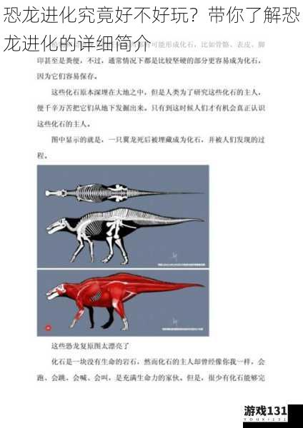 恐龙进化究竟好不好玩?带你了解恐龙进化的详细简介