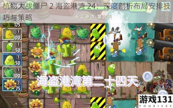 植物大战僵尸 2 海盗港湾 24:深度剖析布局安排技巧与策略