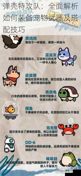 弹壳特攻队:全面解析如何装备宠物武器及搭配技巧