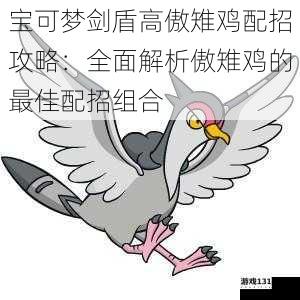 宝可梦剑盾高傲雉鸡配招攻略:全面解析傲雉鸡的最佳配招组合