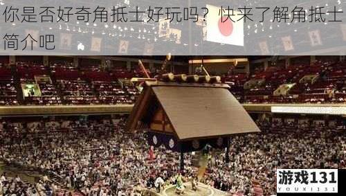 你是否好奇角抵士好玩吗?快来了解角抵士简介吧