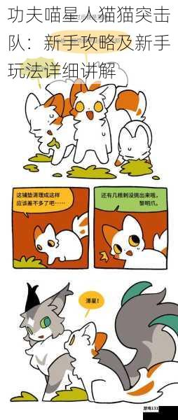 功夫喵星人猫猫突击队:新手攻略及新手玩法详细讲解
