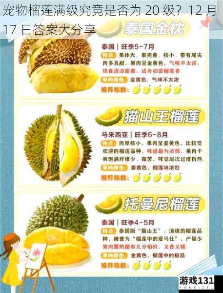 宠物榴莲满级究竟是否为 20 级?12 月 17 日答案大分享
