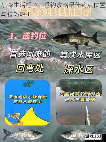 小森生活鲤鱼王垂钓攻略最佳钓点位置与技巧解析