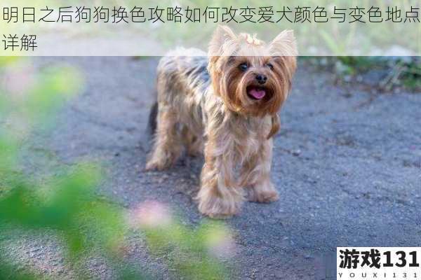 明日之后狗狗换色攻略如何改变爱犬颜色与变色地点详解