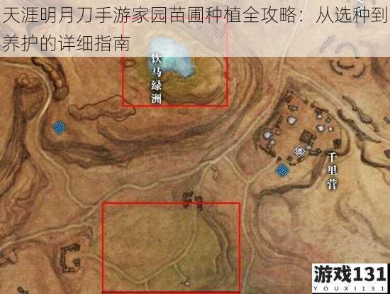 天涯明月刀手游家园苗圃种植全攻略:从选种到养护的详细指南