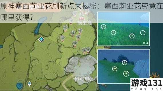 原神塞西莉亚花刷新点大揭秘:塞西莉亚花究竟在哪里获得?