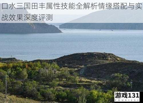 口水三国田丰属性技能全解析情缘搭配与实战效果深度评测