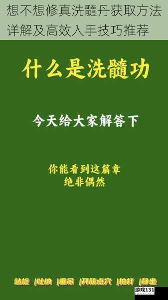 想不想修真洗髓丹获取方法详解及高效入手技巧推荐