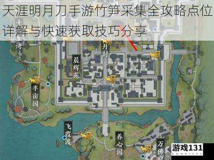 天涯明月刀手游竹笋采集全攻略点位详解与快速获取技巧分享