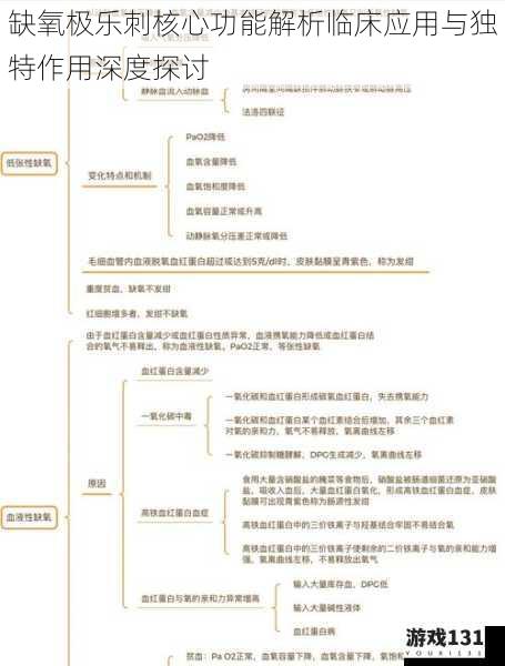 缺氧极乐刺核心功能解析临床应用与独特作用深度探讨