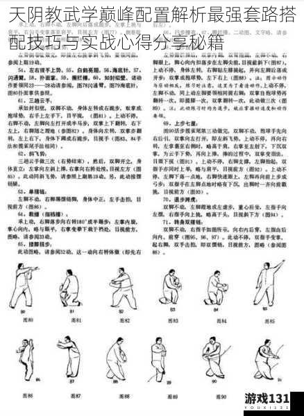天阴教武学巅峰配置解析最强套路搭配技巧与实战心得分享秘籍