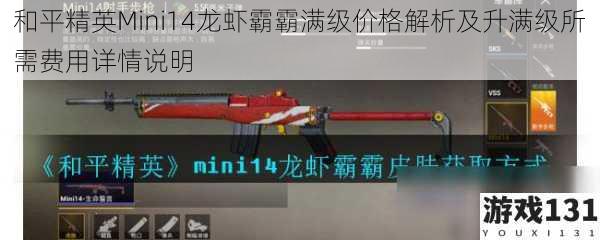 和平精英Mini14龙虾霸霸满级价格解析及升满级所需费用详情说明