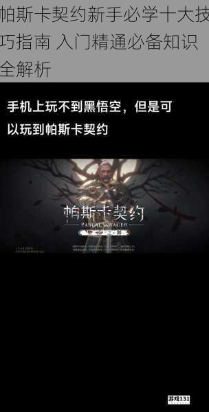 帕斯卡契约新手必学十大技巧指南 入门精通必备知识全解析