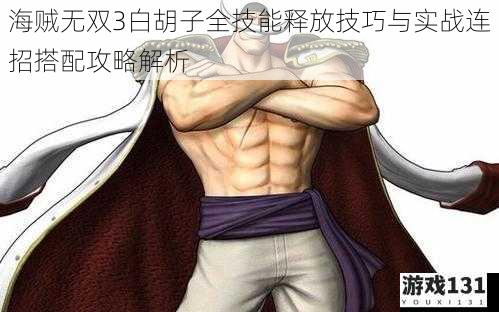 海贼无双3白胡子全技能释放技巧与实战连招搭配攻略解析