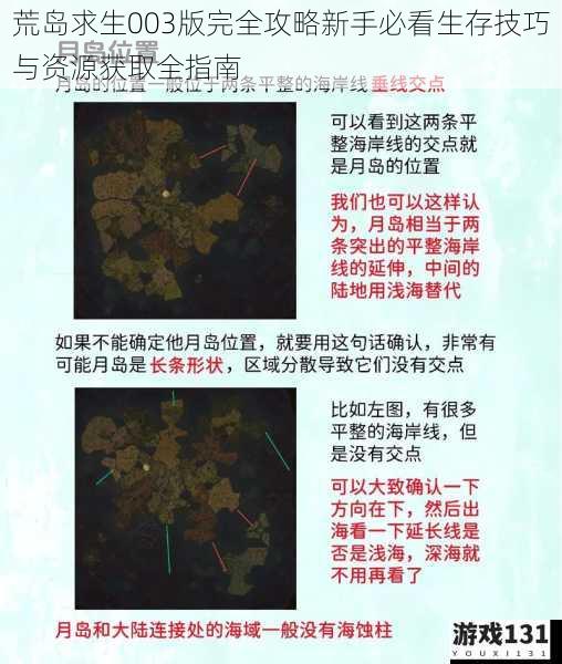 荒岛求生003版完全攻略新手必看生存技巧与资源获取全指南