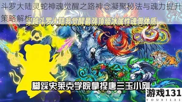 斗罗大陆灵蛇神魂觉醒之路神念凝聚秘法与魂力提升策略解析
