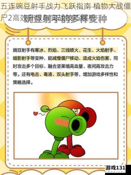 五连豌豆射手战力飞跃指南 植物大战僵尸2高效升级与实战技巧解析
