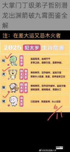 大掌门丁级弟子哲别潜龙出渊箭破九霄图鉴全解