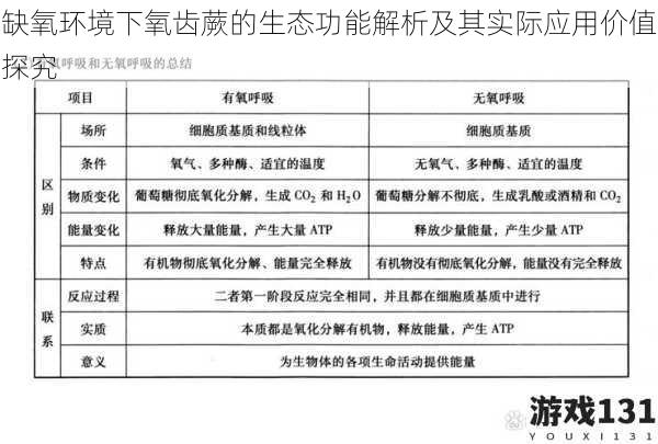 缺氧环境下氧齿蕨的生态功能解析及其实际应用价值探究