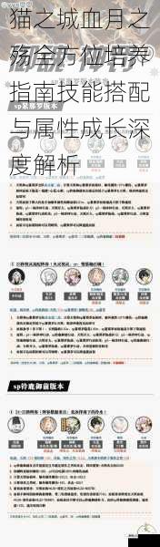 猫之城血月之殇全方位培养指南技能搭配与属性成长深度解析
