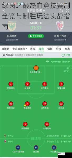 绿茵之巅热血竞技赛制全览与制胜玩法实战指南