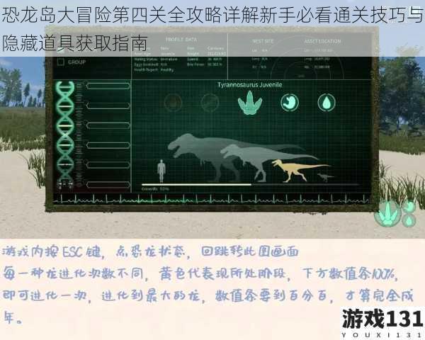 恐龙岛大冒险第四关全攻略详解新手必看通关技巧与隐藏道具获取指南