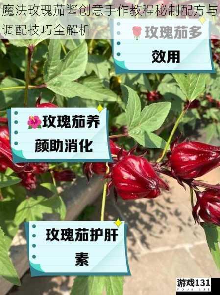 魔法玫瑰茄酱创意手作教程秘制配方与调配技巧全解析