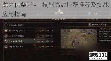 龙之信条2斗士技能高效搭配推荐及实战应用指南
