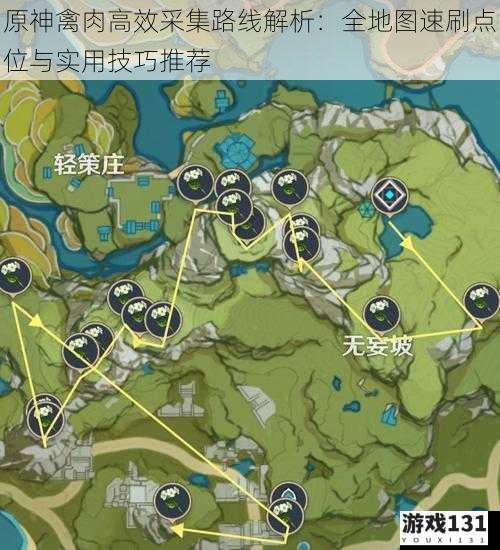 原神禽肉高效采集路线解析：全地图速刷点位与实用技巧推荐