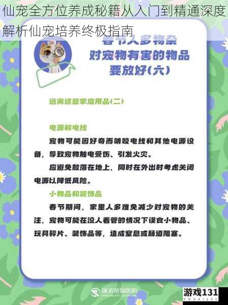 仙宠全方位养成秘籍从入门到精通深度解析仙宠培养终极指南