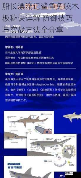 船长漂流记鲨鱼免咬木板秘诀详解 防御技巧与实战方法全分享