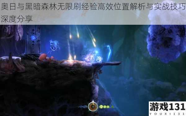 奥日与黑暗森林无限刷经验高效位置解析与实战技巧深度分享