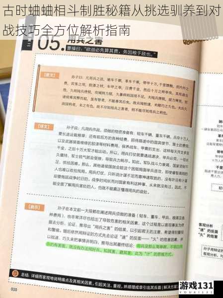 古时蛐蛐相斗制胜秘籍从挑选驯养到对战技巧全方位解析指南