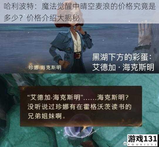 哈利波特：魔法觉醒中晴空麦浪的价格究竟是多少？价格介绍大揭秘