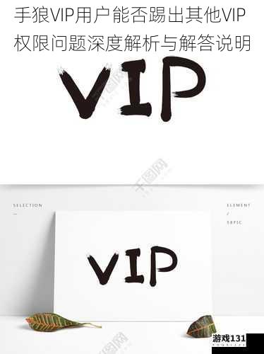 手狼VIP用户能否踢出其他VIP权限问题深度解析与解答说明