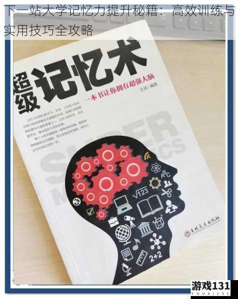 下一站大学记忆力提升秘籍：高效训练与实用技巧全攻略