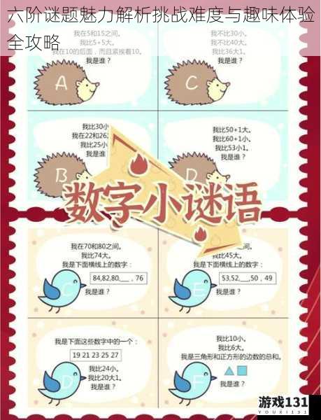 六阶谜题魅力解析挑战难度与趣味体验全攻略