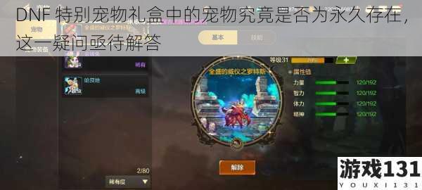 DNF 特别宠物礼盒中的宠物究竟是否为永久存在,这一疑问亟待解答